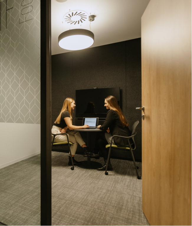 Audit finančních společností